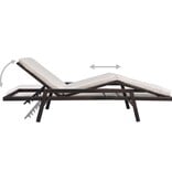 VidaXL Ligbed met kussen poly rattan bruin