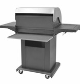 VidaXL Gas Barbecue Grill Zilver Roestvrij staal