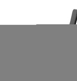 VidaXL Inklapbaar ligbed poly rattan zwart