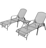 VidaXL Ligbedden 2 st met tafel staal antraciet