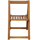 VidaXL Tuinstoelen inklapbaar 2 st massief acaciahout