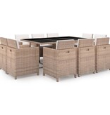 VidaXL 11-delige Tuinset met kussens poly rattan beige
