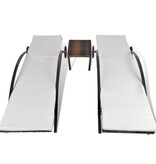 VidaXL Ligbedden met tafel poly rattan bruin