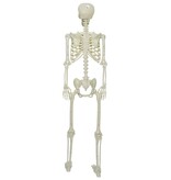 VidaXL Halloween Skelet Verstelbaar Wit 155 x 38.5 cm Kunststof