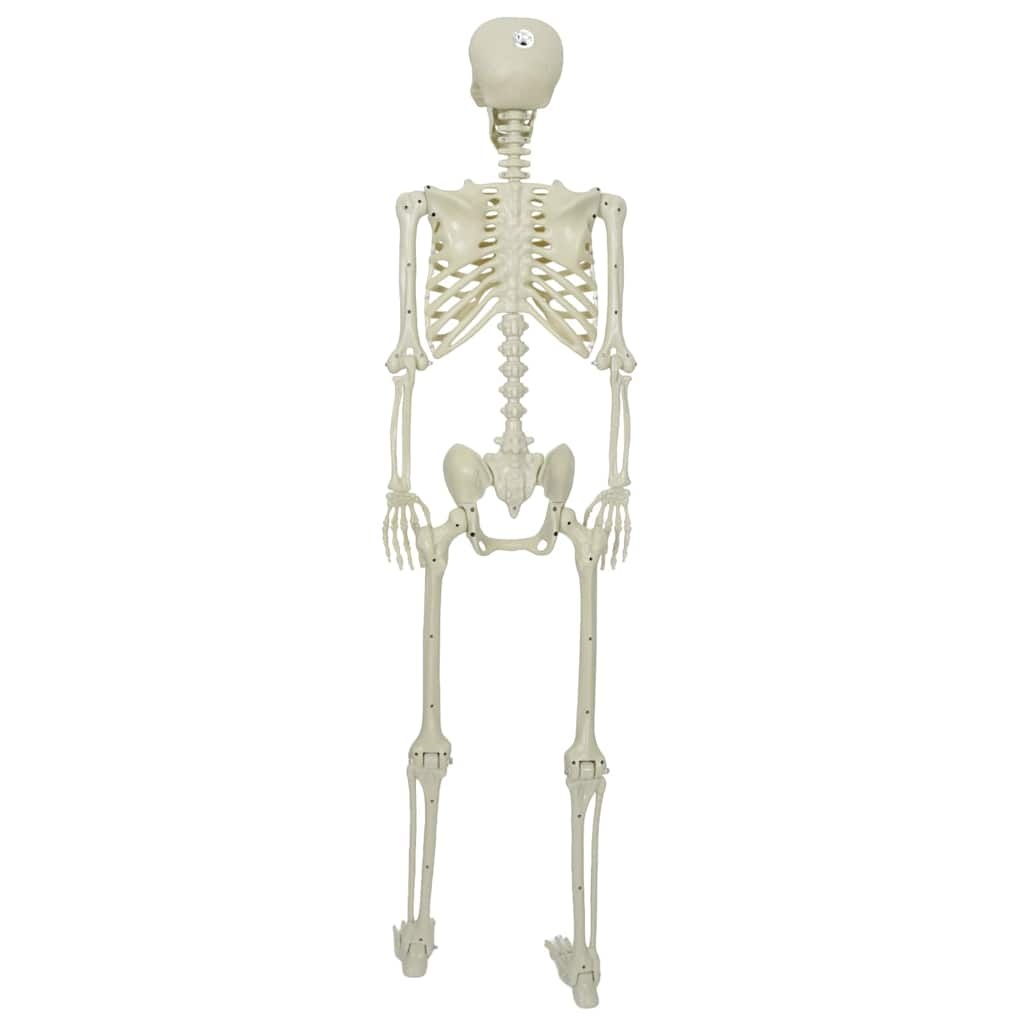 VidaXL Halloween Skelet Verstelbaar Wit 155 x 38.5 cm Kunststof