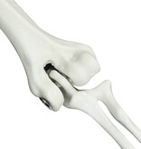 VidaXL Halloween Skelet Wit 20 x 10 x 9.5 cm Kunststof