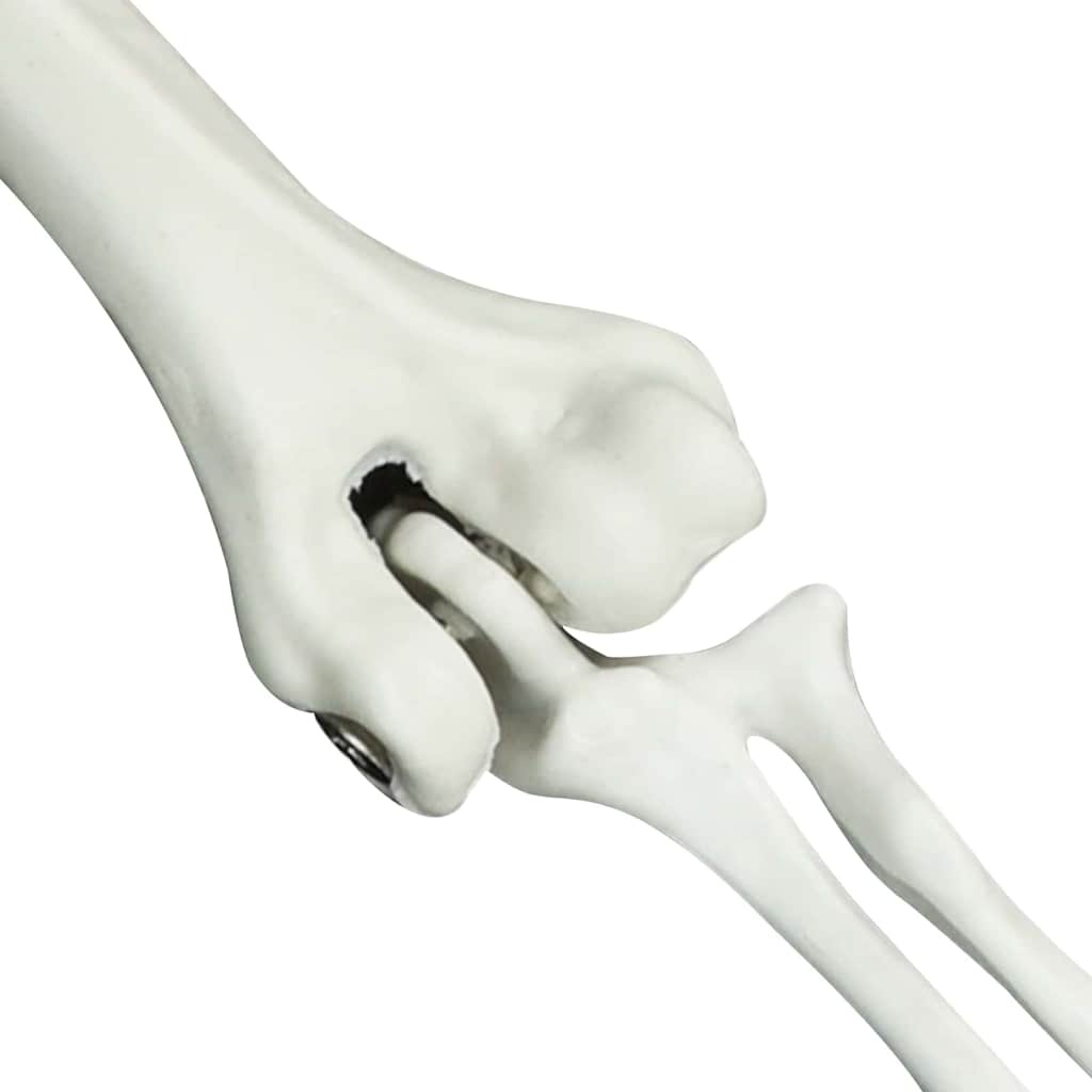 VidaXL Halloween Skelet Wit 20 x 10 x 9.5 cm Kunststof