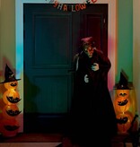VidaXL Halloween pratende heks with LEDs Paars 125 x 216 cm Polyester