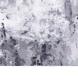 VidaXL Keuken Mat Grijs 180 x 60 cm Fluweel