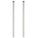 VidaXL Hekpalen 2 pcs Zilver 120 cm Poedergecoat staal
