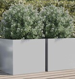 VidaXL Plantenbakken 2 st 49x47x46 cm gegalvaniseerd staal zilverkleur