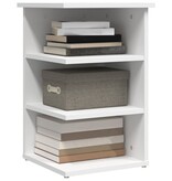 VidaXL Bijzetkast 35x35x55 cm bewerkt hout wit