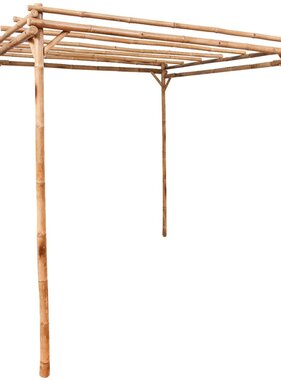 VidaXL Pergola 170x170x220 cm bamboe