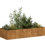 VidaXL Plantenbak roestig 200x80x40 cm weervast staal