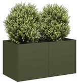 VidaXL Plantenbak 80x40x40 cm koudgewalst staal olijfgroen