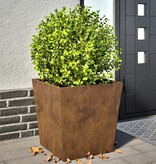 VidaXL Plantenbakken 2 st 50x50x50 cm weervast staal