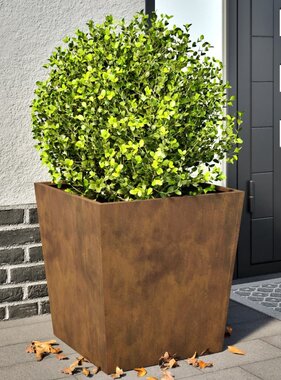 VidaXL Plantenbakken 2 st 50x50x50 cm weervast staal