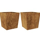 VidaXL Plantenbakken 2 st 50x50x50 cm weervast staal