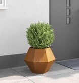 VidaXL Plantenbak Roestig 50 x 50 x 40 cm Cortenstaal