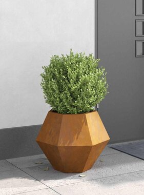 VidaXL Plantenbak Roestig 50 x 50 x 40 cm Cortenstaal