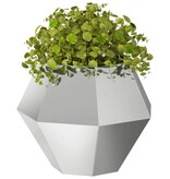 VidaXL Plantenbak 2 pcs Zilver 50 x 50 x 40 cm Gegalvaniseerd staal