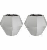 VidaXL Plantenbak 2 pcs Zilver 50 x 50 x 40 cm Roestvrij staal