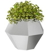 VidaXL Plantenbak 2 pcs Zilver 50 x 50 x 40 cm Roestvrij staal