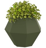 VidaXL Plantenbak 2 pcs Olijf Groen 50 x 50 x 40 cm Staal