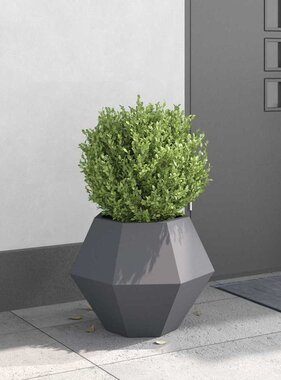 VidaXL Plantenbak Antraciet 50 x 50 x 40 cm Staal