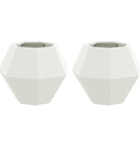 VidaXL Plantenbak 2 pcs Wit 50 x 50 x 40 cm Staal