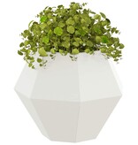 VidaXL Plantenbak Wit 50 x 50 x 40 cm Staal