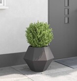 VidaXL Plantenbak Zwart 50 x 50 x 40 cm Staal