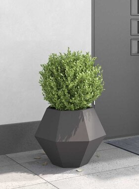 VidaXL Plantenbak Zwart 50 x 50 x 40 cm Staal