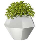 VidaXL Plantenbak 2 pcs Zilver 75 x 75 x 60 cm Gegalvaniseerd staal