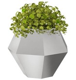 VidaXL Plantenbak 2 pcs Zilver 75 x 75 x 60 cm Roestvrij staal