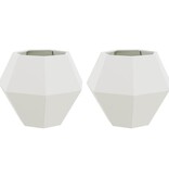 VidaXL Plantenbak 2 pcs Wit 75 x 75 x 60 cm Staal