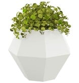 VidaXL Plantenbak Wit 75 x 75 x 60 cm Staal