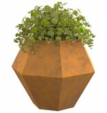 VidaXL Plantenbak Roestig 100 x 100 x 80 cm Cortenstaal
