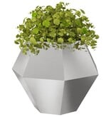 VidaXL Plantenbak 2 pcs Zilver 100 x 100 x 80 cm Roestvrij staal