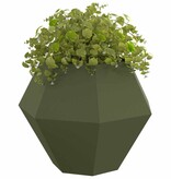 VidaXL Plantenbak Olijf Groen 100 x 100 x 80 cm Staal