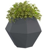 VidaXL Plantenbak 2 pcs Antraciet 100 x 100 x 80 cm Staal