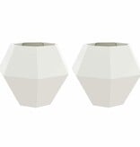 VidaXL Plantenbak 2 pcs Wit 100 x 100 x 80 cm Staal