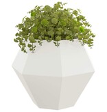 VidaXL Plantenbak 2 pcs Wit 100 x 100 x 80 cm Staal