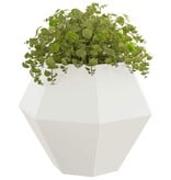 VidaXL Plantenbak Wit 100 x 100 x 80 cm Staal