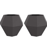 VidaXL Plantenbak 2 pcs Zwart 100 x 100 x 80 cm Staal