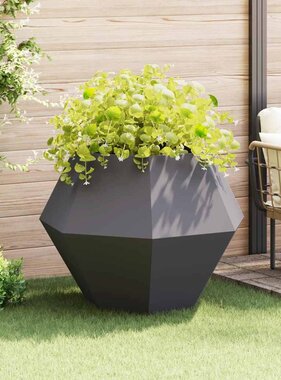 VidaXL Plantenbak Zwart 100 x 100 x 80 cm Staal