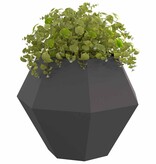 VidaXL Plantenbak Zwart 100 x 100 x 80 cm Staal