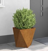 VidaXL Plantenbak 2 pcs Roestig 50 x 50 x 50 cm Cortenstaal