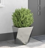 VidaXL Plantenbak Zilver 50 x 50 x 50 cm Gegalvaniseerd staal