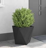 VidaXL Plantenbak 2 pcs Zwart 50 x 50 x 50 cm Staal